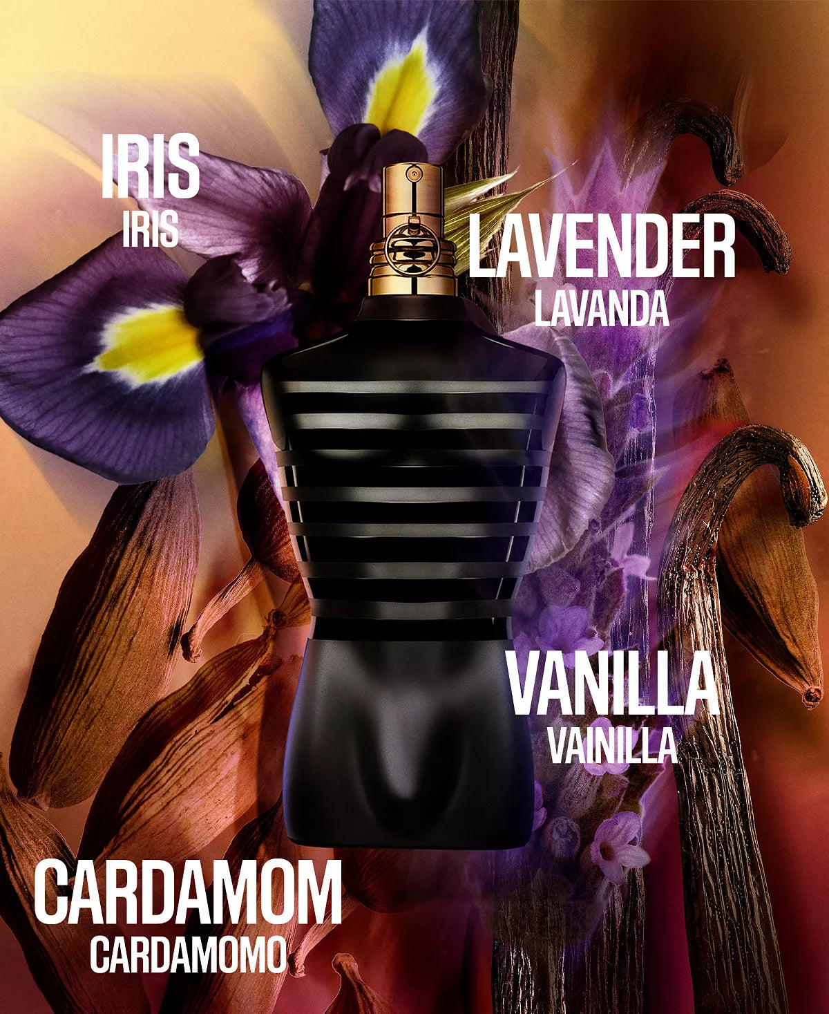 Jean Paul Gaultier Le Male Le Parfum