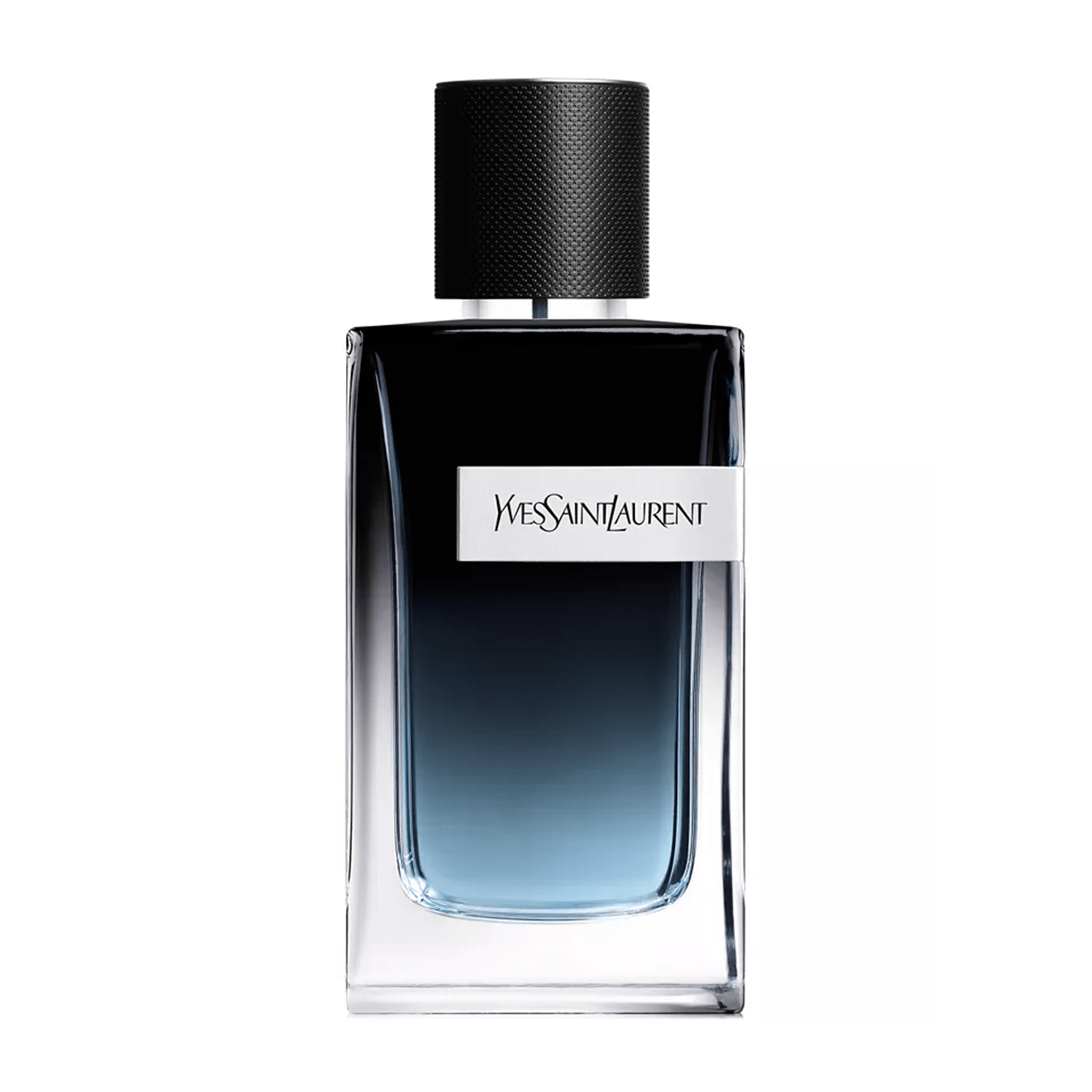 YSL Y EDP - Fortier Germane